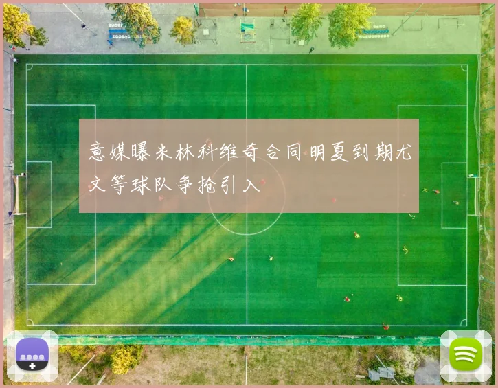 意媒曝米林科维奇合同明夏到期尤文等球队争抢引入
