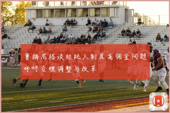 鲁梅尼格谈经纪人制度高佣金问题呼吁合理调整与改革