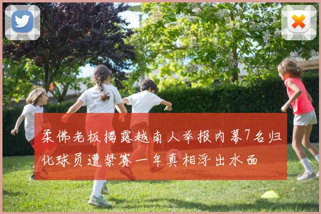 柔佛老板揭露越南人举报内幕7名归化球员遭禁赛一年真相浮出水面