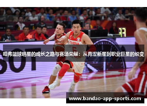 哈弗篮球明星的成长之路与赛场荣耀：从青涩新星到职业巨星的蜕变