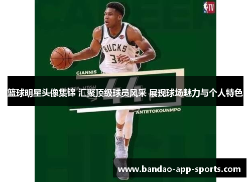 篮球明星头像集锦 汇聚顶级球员风采 展现球场魅力与个人特色