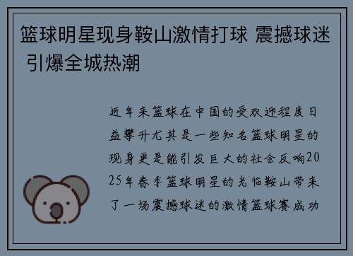 篮球明星现身鞍山激情打球 震撼球迷 引爆全城热潮